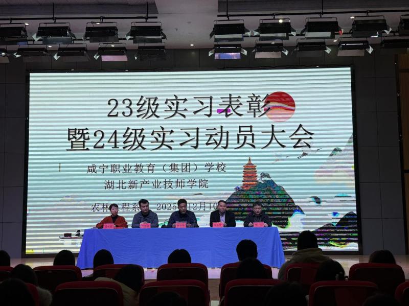 榜样领航践初心 逐光前行启新程