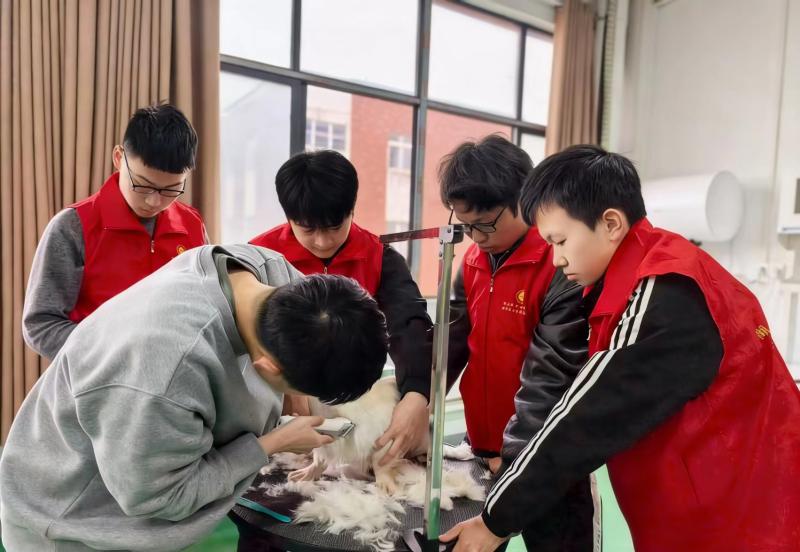 追“锋”而行 萌宠暖心