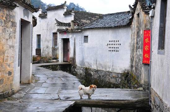 说明: C:\Users\Administrator\Documents\Tencent Files\107825961\Image\C2C\0916C395A3625C5BE5730E088DFE61A1.jpg