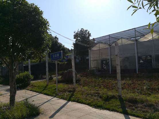 说明: QQ图片20170529085653.jpg