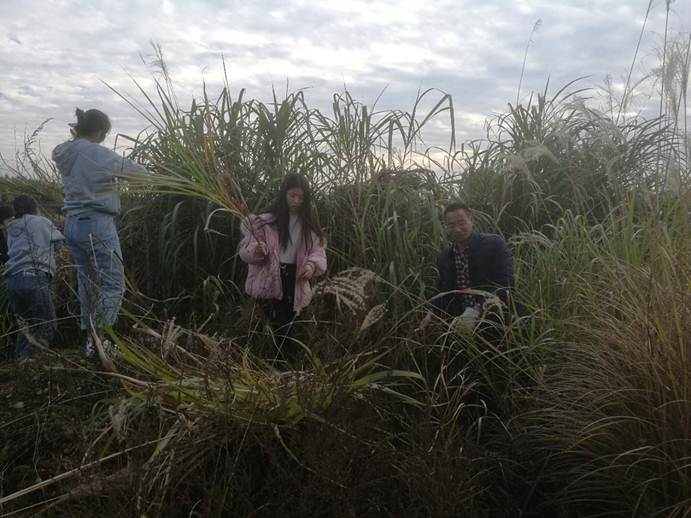 说明: Cache_-71c9257c80130a8e.