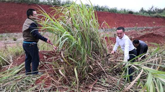 说明: f640c084259d7750218af4e38132422