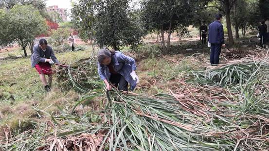 说明: 9b84e43c8a6e21213864e3f900f8249