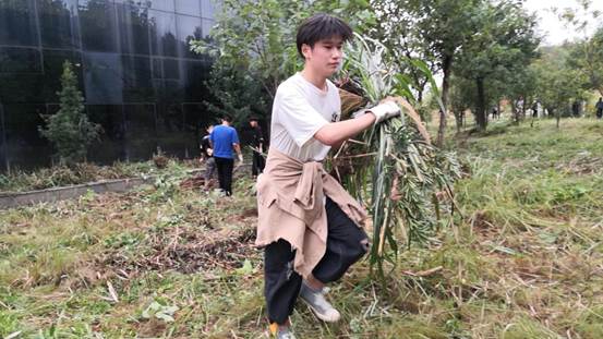 说明: 44a18967e17e266df84e2a1c88acdd6