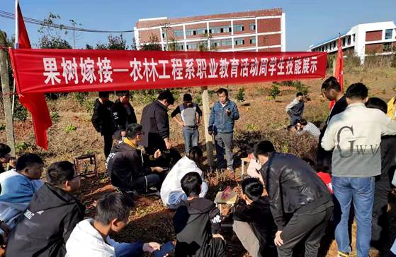 说明: 微信图片_20201113145808