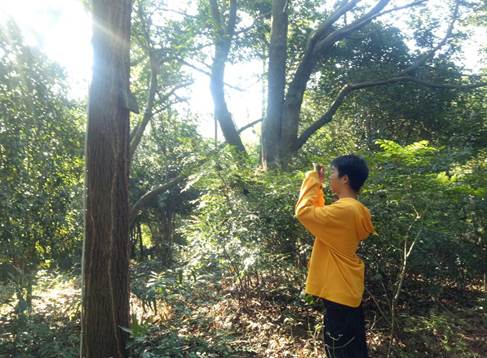 说明: IMG20201114092756