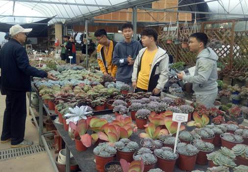 说明: IMG20201114083427