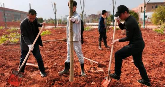 db1266e7fb9d3f4e3b3e4617d513127