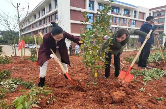 291025ff7946d6b60957fecacfd50bd