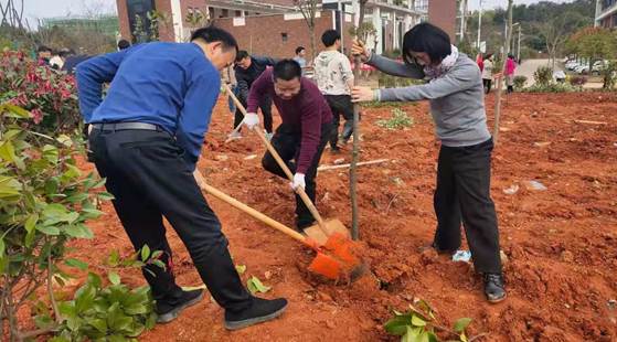 52dbc40ae132ad51b0b3f2d1fed0e2c