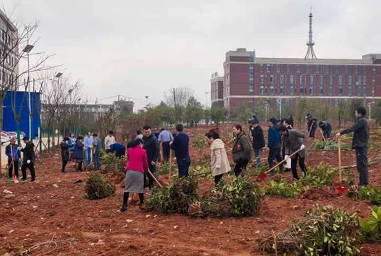 ed372c837f343a67f6466d2138bd3f4