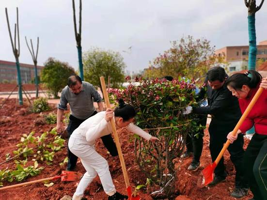 d5aa594aa3881f4ae6a5a8904c6dfc9