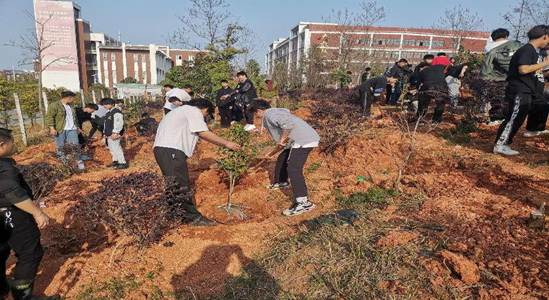 说明: 微信图片_20220311213747