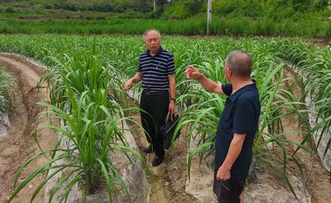 83ceb22df6b6c9a8a5f5dfab005f94a