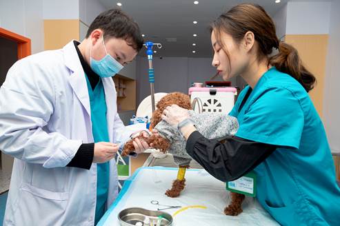 e0eadaaa8a5bde3051f9d07bd93f0a6