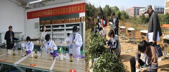 501fae885cf2a1cc0facfe82b9ff0ab